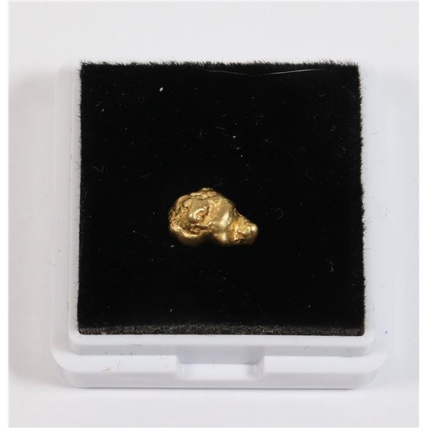 1 GRAM PURE GOLD PLACER NUGGET IN GEM DISPLAY BOX