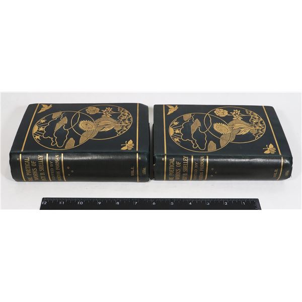THE POETICAL WORKS OF PERCY B. SHELLEY - 1886