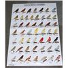 Image 1 : LARGE LAMINATED " COLOR BRED CANARIES" POSTER