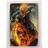 Image 1 : NEW GHOST RIDER THEME METAL WALL SIGN