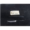 Image 1 : Buck Model 107 Knife with Holster 7 1/2'' Long 