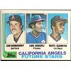 Image 1 : 1982 TOPPS TOM BRUNANSKY ROOKIE CARD
