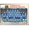 Image 1 : 1975-76 O-PEE-CHEE TORONTO MAPLE LEAFS