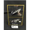 Image 1 : Orthoceras Fossil Display. Retails $600.00