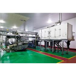 FISH FINGER PACKING LINE