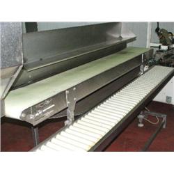 CARTON CONVEYOR