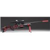 Image 1 : DAYSTATE RED WOLF AIR RIFLE.