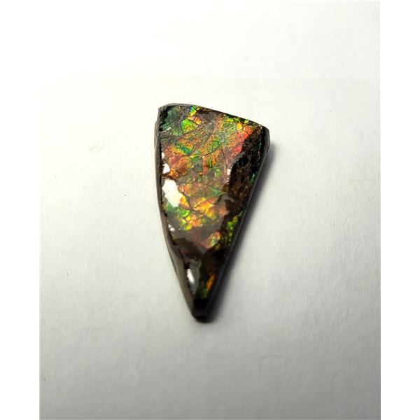 15)  MULTI COLORED FIRE 5.5 CT AMMOLITE GEM-