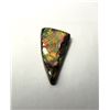 15)  MULTI COLORED FIRE 5.5 CT AMMOLITE GEM-