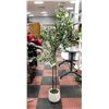 Image 1 : NEW OAKRED ARTIFICIAL TREE WITH POT