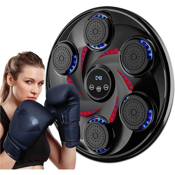 REPACKED 3RD GENERATION SMART MUSIC BOXING TARGET