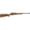 Image 1 : WINCHESTER WILDCAT SPORTER 22LR 18"