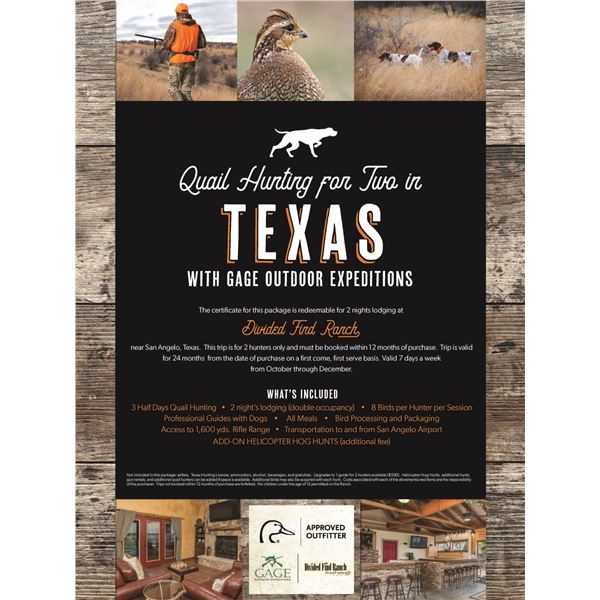 Texas Quail Hunt for 2