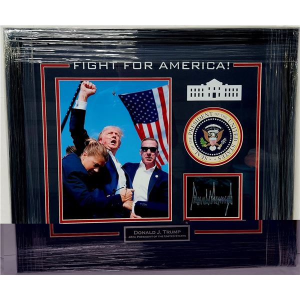Fight for America Print