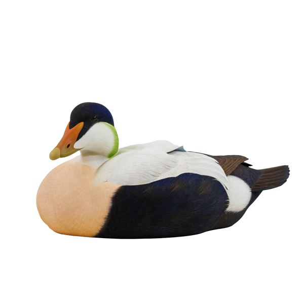 Common Eider 2025 Decoy of the Year