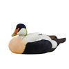 Image 1 : Common Eider 2025 Decoy of the Year
