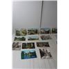 Image 3 : (20) Vintage European Postcards
