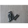 Image 2 : 1/4" x 1 1/2" Bolts