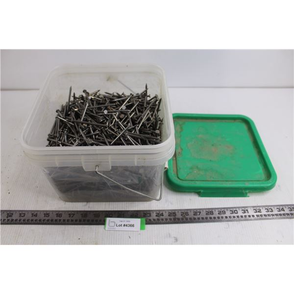 Bucket-O-Nails with Carry Pail