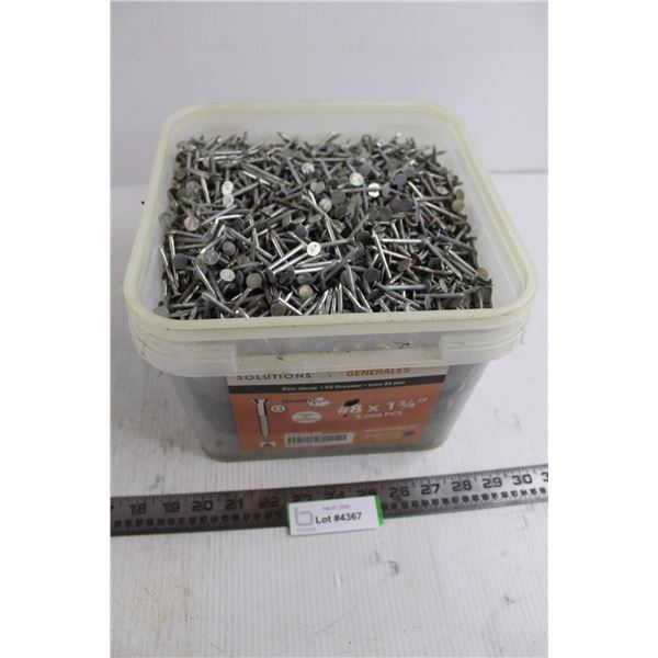 Bucket-O-Nails with Carry Pail - Mostly Roofing