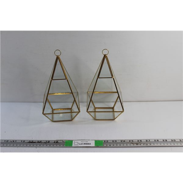 (2) Air Plant Terrariums