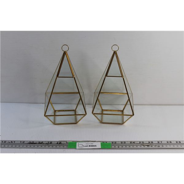 (2) Air Plant Terrariums