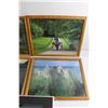 Image 3 : (5) Framed Wall Art Prints 14'' x 12''