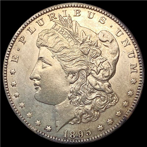 1895-S Toned Morgan Silver Dollar UNCIRCULATED