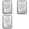 Image 2 : [3]2013 Silver Eagle NGC MS69