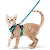 Image 1 : NEW REPACKED RABBITGOO CAT HARNESS AND LEASH