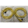 Image 2 : (2) Allen Bradley #889N-R5AE-12F QD Cordsets