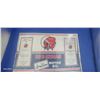 Image 2 : Repro Red Indian 2 sided metal sign 17" x 11"