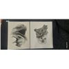 Image 1 : 2 beautiful limited edition numbered prints by Catherine White 26" x 20"
