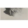 Image 2 : 2 beautiful limited edition numbered prints by Catherine White 26" x 20"