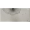 Image 3 : 2 beautiful limited edition numbered prints by Catherine White 26" x 20"