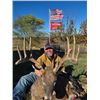 Image 2 : 6 Day Kansas Whitetail Archery Hunt for 2