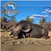 Image 2 : 2 cape buffalo, 2 spotted Hyena, 2 sable (could be upgraded)