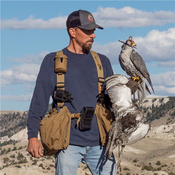 Falconry Hunting Experience