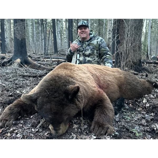 2 Person Bear Hunt Over Bait