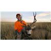Image 2 : Mule Deer