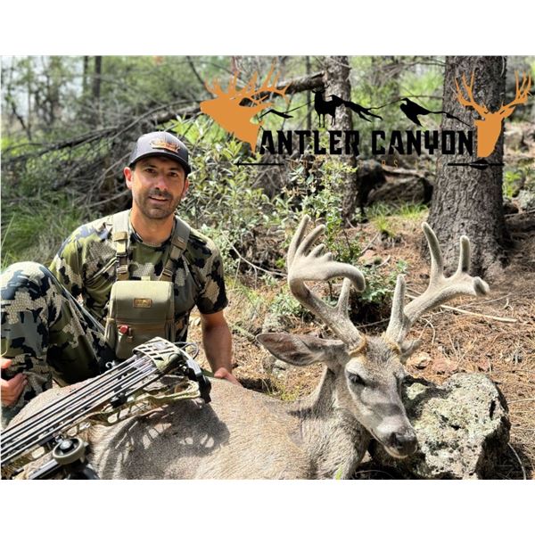 5 Day Arizona Coues Hunt for 2