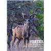 Image 2 : 0.1 Mature Kudu w/ Female Calf Sired by Vortex.