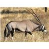 Image 1 : MAKADI SAFARIS - 5 Day Plains Game Hunt for 2 Hunters and 2 Observers in Namibia for Gemsbok