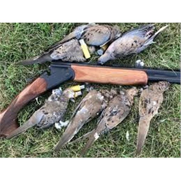 ARGENTINA TOP HUNTS - 6 Hunters 4 Days for Big Game and Dove Hunting