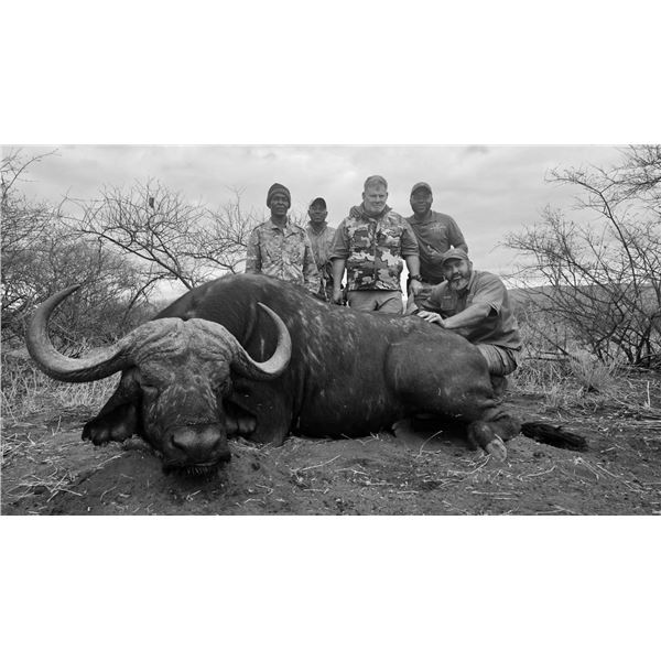 SIGNATURE ADVENTURES - 7 day Cape Buffalo hunt for 2 Hunters in South Africa