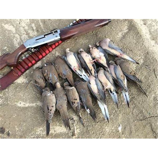 SIERRA BRAVA LODGE (Orvis Endorsed) - Argentina Dove Hunt for 4 Hunters for 3 Days