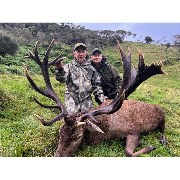 Kuranui New Zealand Red Stag hunt 5 days with Helicopter tour and $2000 Stoney Creek apparel credit