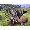 Image 1 : Kuranui New Zealand Red Stag hunt 5 days with Helicopter tour and $2000 Stoney Creek apparel credit