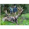 Image 2 : Kuranui New Zealand Red Stag hunt 5 days with Helicopter tour and $2000 Stoney Creek apparel credit