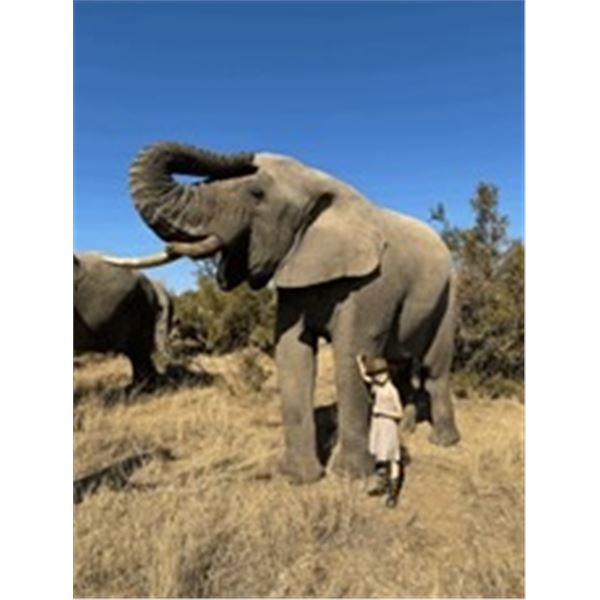 6-Day Ultimate South Africa Adventure for 2 People